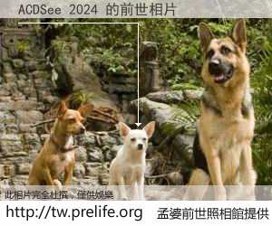 ACDSee 2024 的前世相片