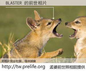 BLASTER 的前世相片
