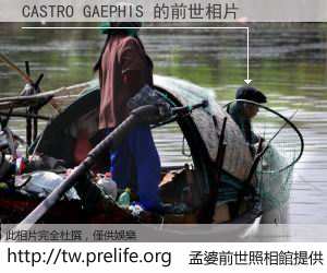 CASTRO GAEPHIS 的前世相片