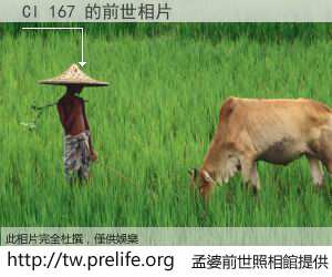Cl 167 的前世相片