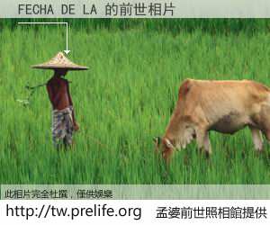 FECHA DE LA 的前世相片