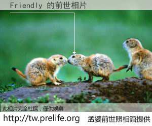 Friendly 的前世相片