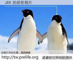 JEN 的前世相片