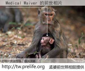 Medical Waiver 的前世相片