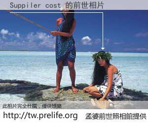 Suppiler cost 的前世相片