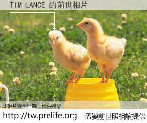 TIM LANCE 的前世相片