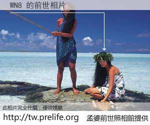 WN8 的前世相片