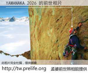 YAMANAKA 2026 的前世相片