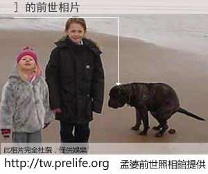 ] 的前世相片