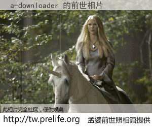 a-downloader 的前世相片
