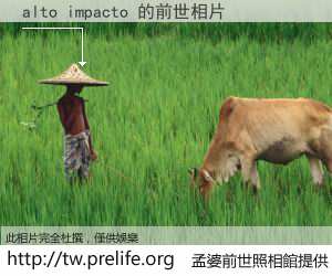 alto impacto 的前世相片