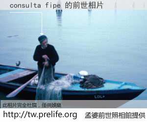consulta fipe 的前世相片