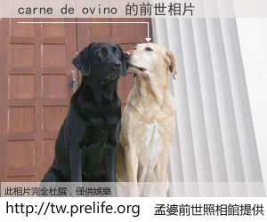 carne de ovino 的前世相片