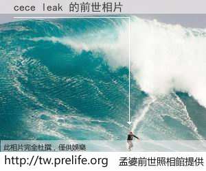 cece leak 的前世相片