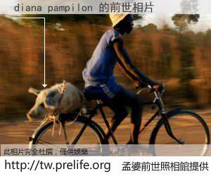diana pampilon 的前世相片