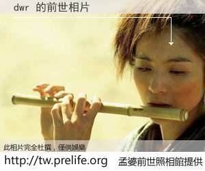 dwr 的前世相片