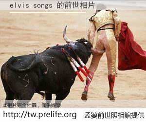elvis songs 的前世相片