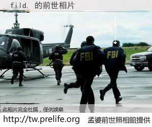 fild. 的前世相片