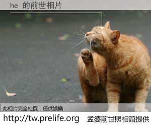he 的前世相片