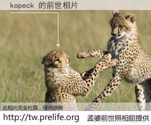 kopeck 的前世相片