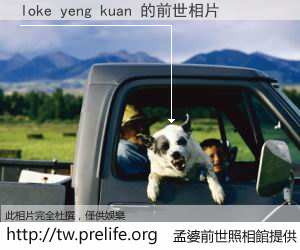 loke yeng kuan 的前世相片