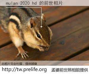 mulan 2020 hd 的前世相片