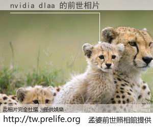 nvidia dlaa 的前世相片