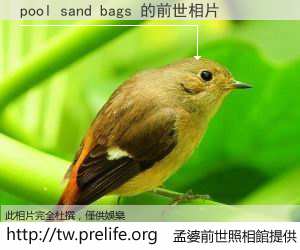 pool sand bags 的前世相片