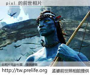 pixl 的前世相片