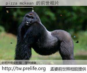 pizza mckean 的前世相片