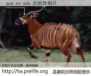 que es eda 的前世相片