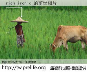 rich iron o 的前世相片