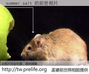 summer salt 的前世相片