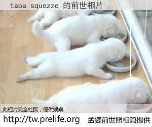 tapa squezze 的前世相片