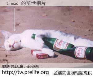 timod 的前世相片