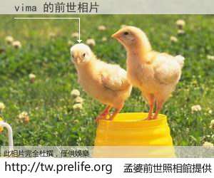 vima 的前世相片