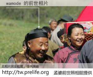 wamode 的前世相片