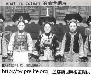 what is goteam 的前世相片