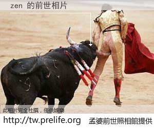 zen 的前世相片