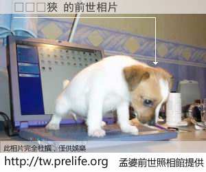 ���狹 的前世相片