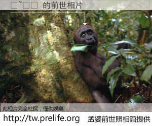 �~ٻɺ 的前世相片