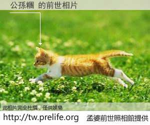 公孫糰 的前世相片