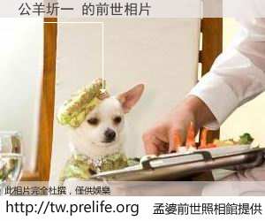 公羊圻一 的前世相片