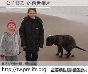 公羊忮乙 的前世相片