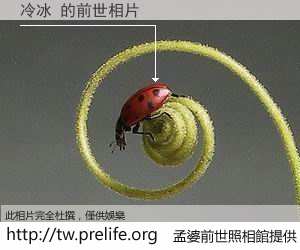 冷冰 的前世相片