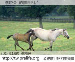 李晓会 的前世相片