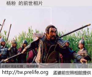 杨粉 的前世相片