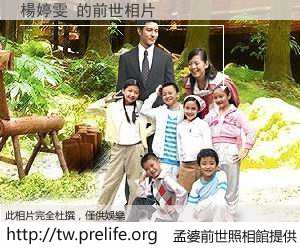 楊婷雯 的前世相片