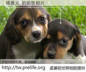 楊展元 的前世相片