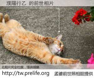 濮陽行乙 的前世相片